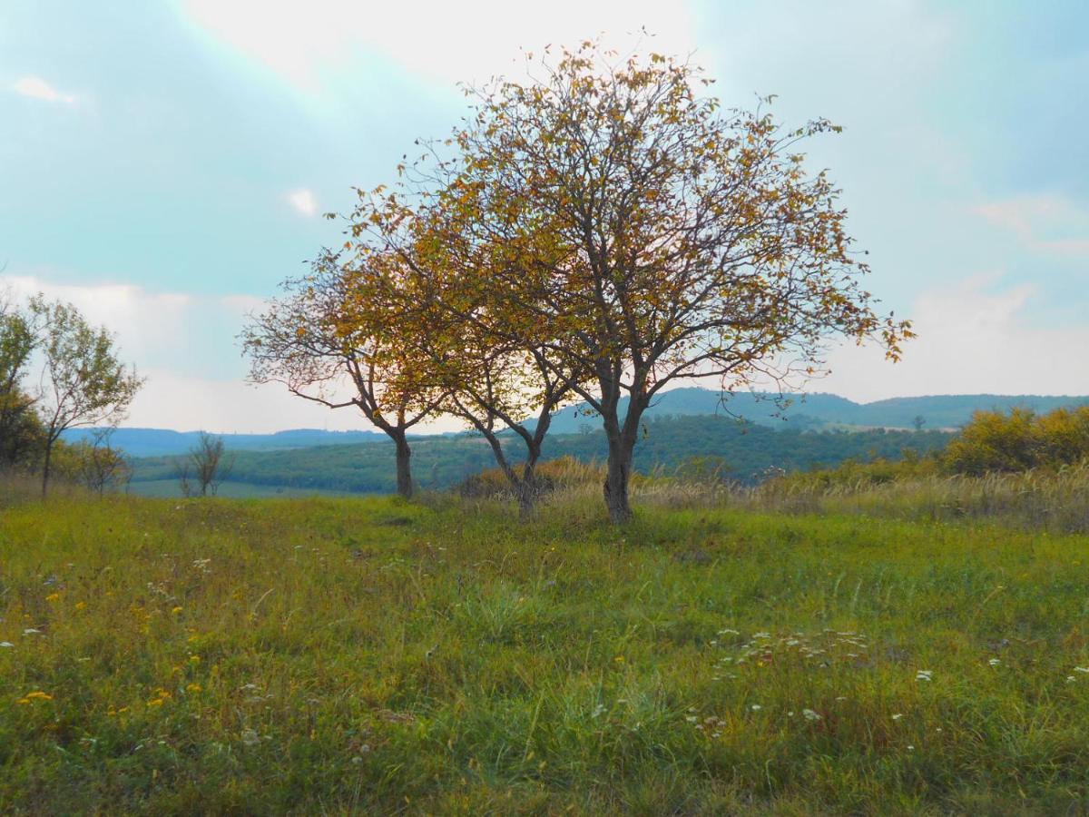 Var-Lak Vendeghaz Szendro ภายนอก รูปภาพ